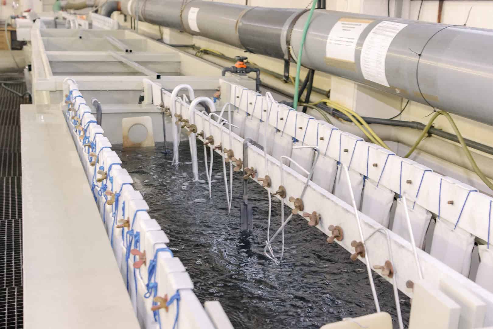 Edelstahl-Beschichtungsbad mit Wasser und verschiedenen Sprüh- und Waschvorrichtungen für industrielle Oberflächen.